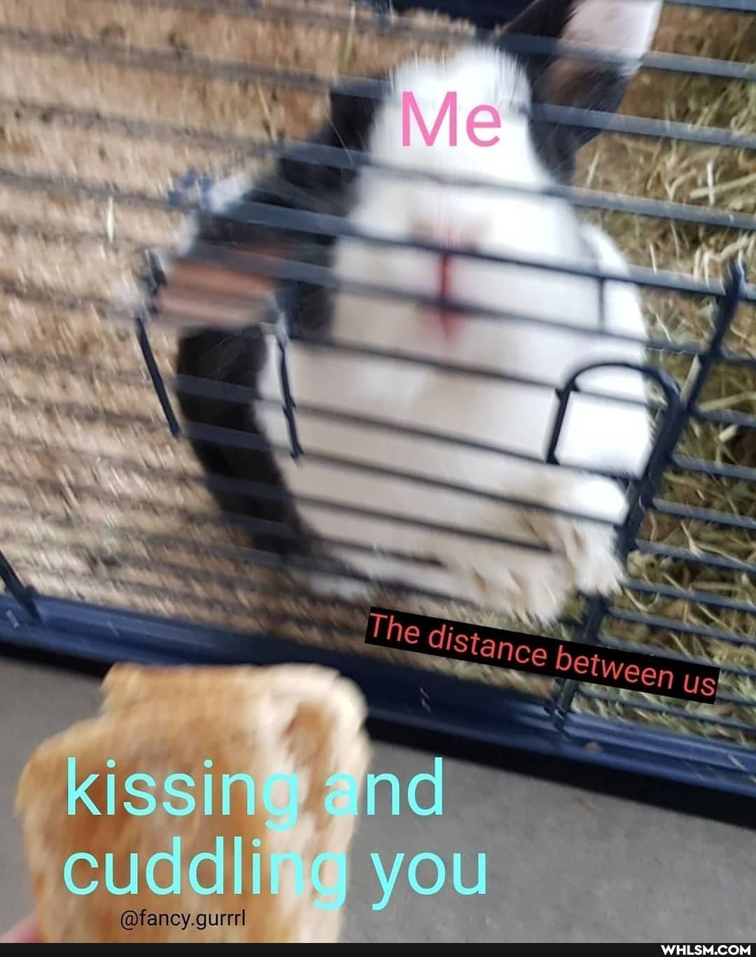 kissin
cuddlit
he distance
I YOU