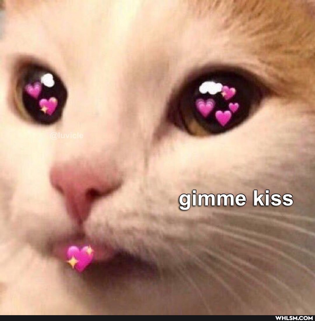 gimme kiss
Ap