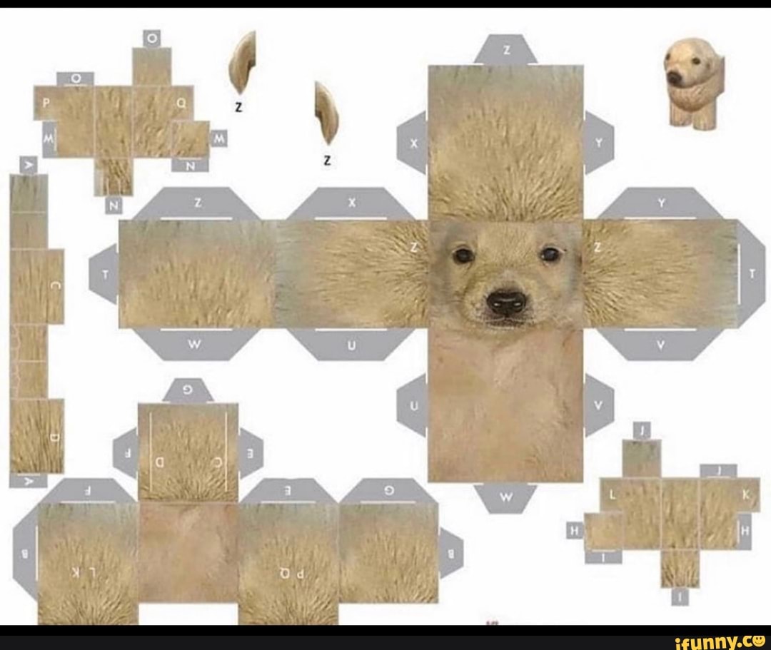 cute, animals