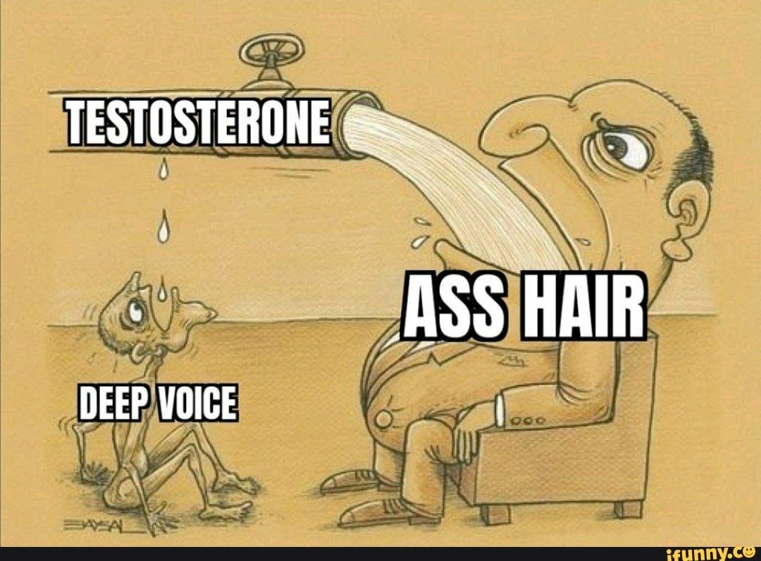 TESTOSTERONE -
ASS HAIR
DEEP VOICE