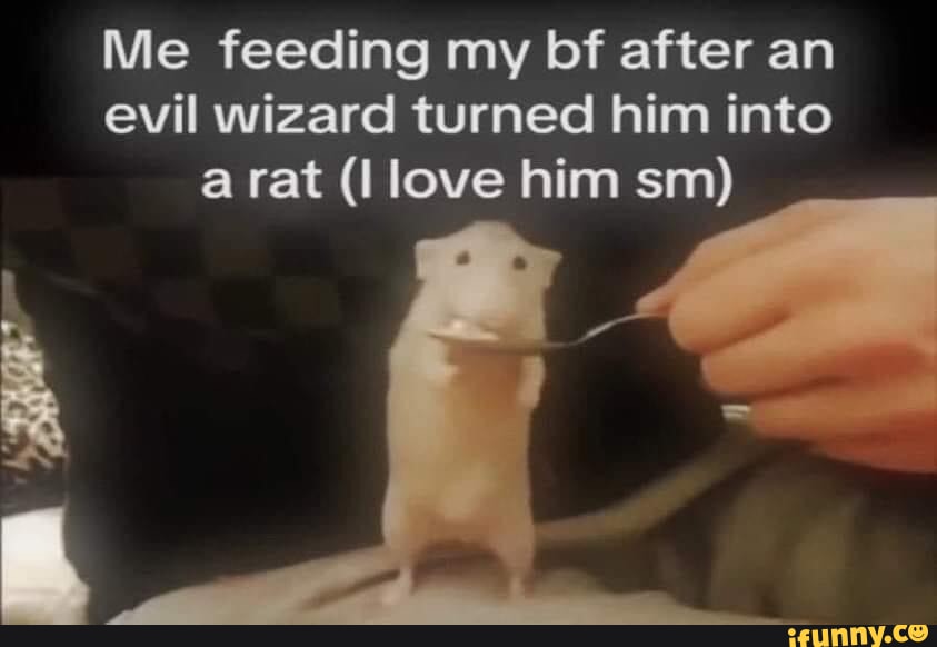 Had to get your guys opinion on this one when it came on my feed 😂 : r/RATS