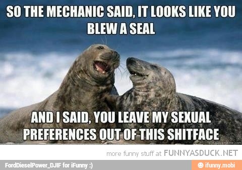 SO THE MECHANIC SAID, IT LOOKS LIKE YOU
BLEW A SEAL
ANDI SAID, YOU
LEAV MY SEXUAL