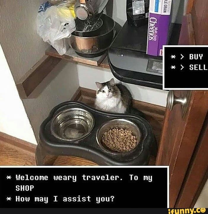Welcome weary traveler. To my
SHOP