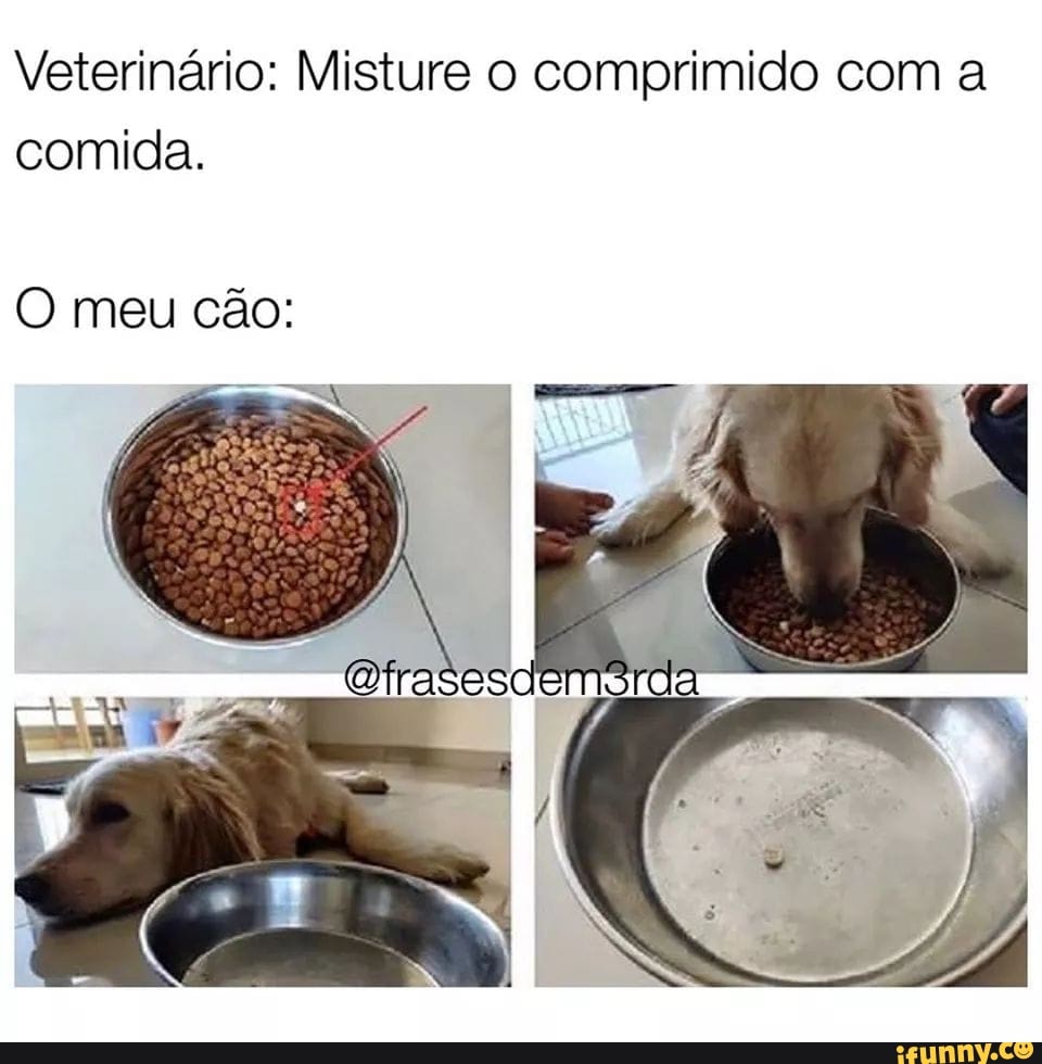 Veterinário: Misture o comprimido com a
comida.
O meu cão:
