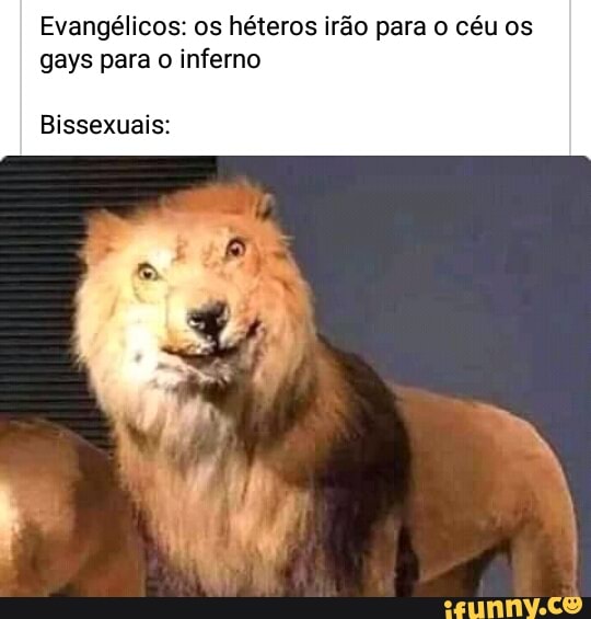 Evangélicos: os héteros irão para o céu os gays para o inferno
Bissexuais: