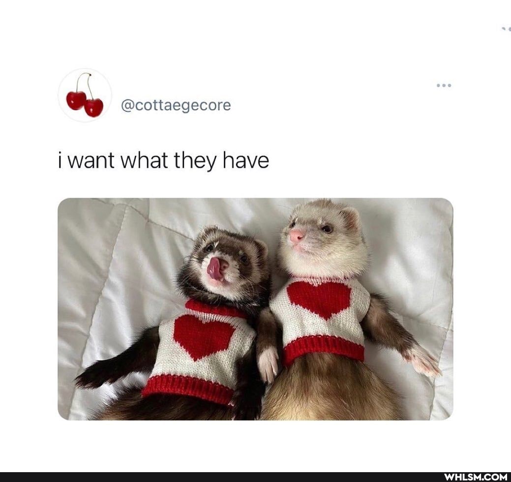 @cottaegecore
i want what they have
