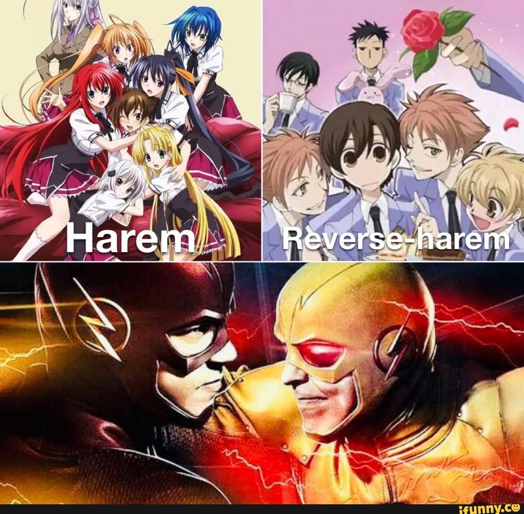 Reverseharem memes. Best Collection of funny Reverseharem pictures on ...