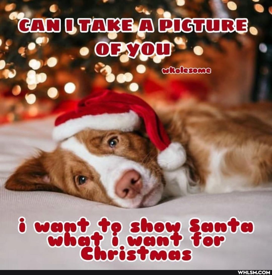 want to sho want for what want for
Cheistmas