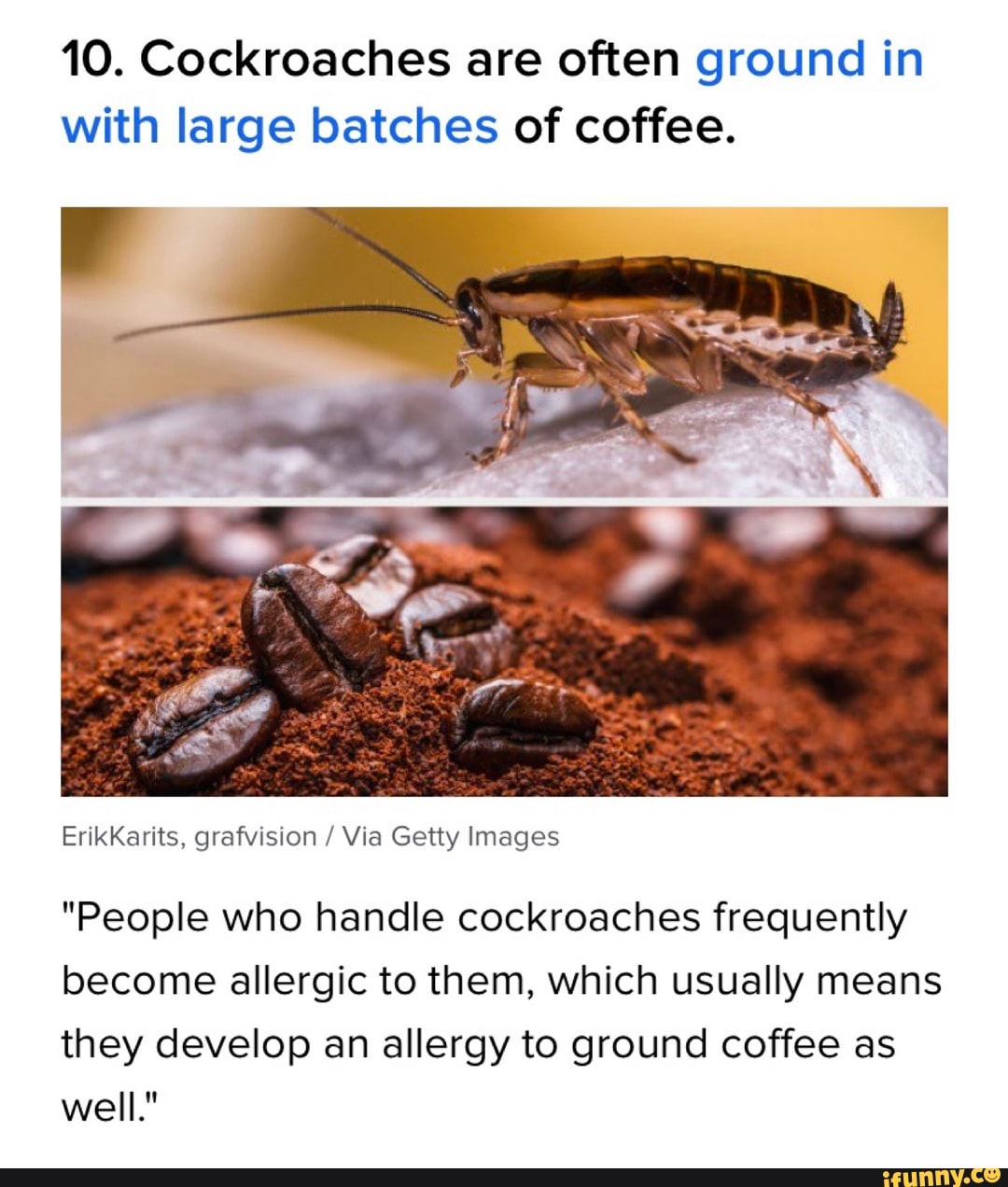10. Cockroaches are often ground in with large batches of coffee