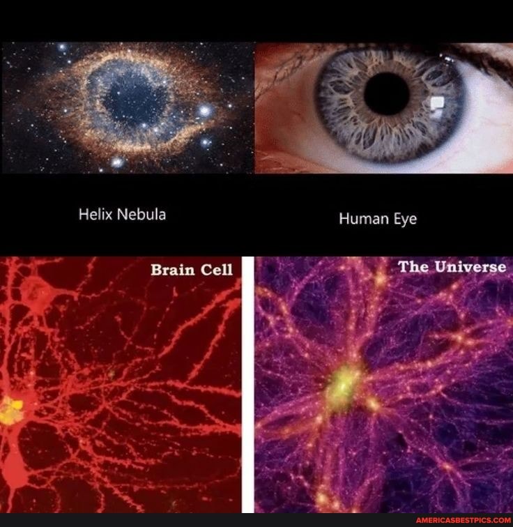 Helix Nebula Human Eye Brain Cell The Universe, - America’s best pics ...