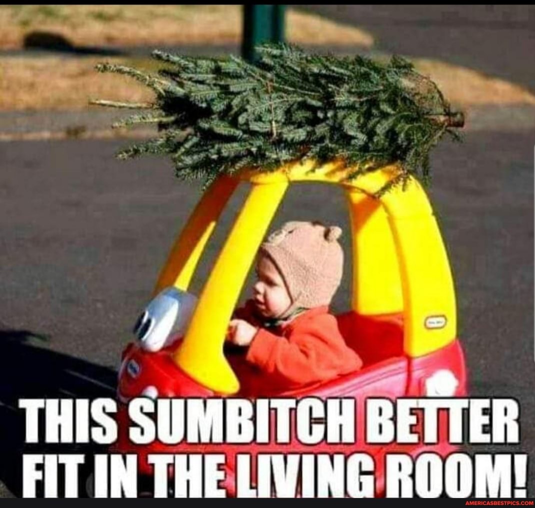 THIS SUMBITCH BETTER FIT IN THE LIVING ROOM!