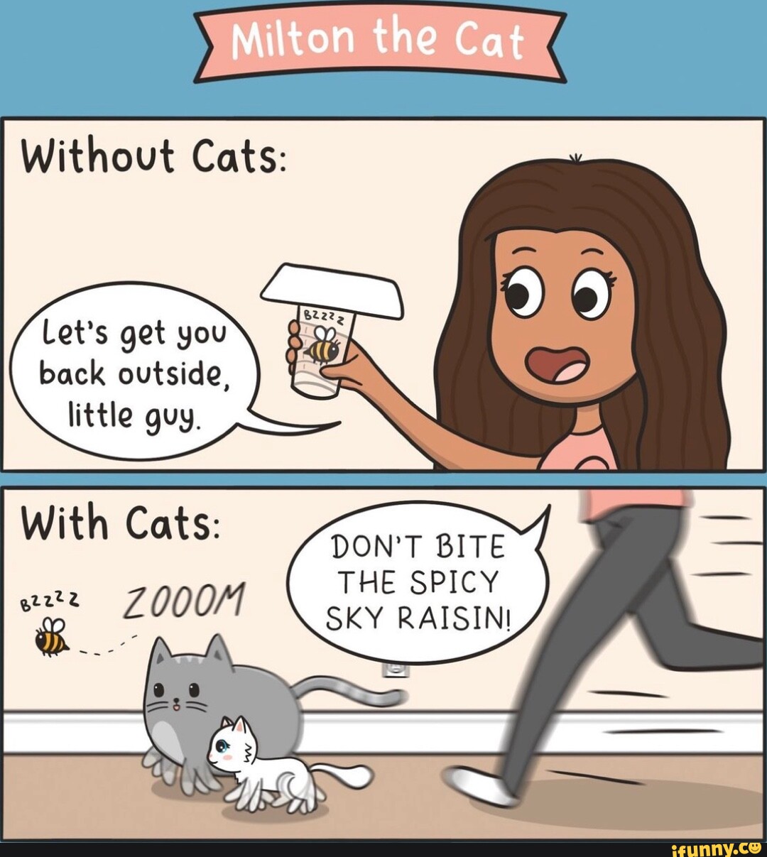 Milton the Cat Without Cats Let's get you back outside, little guy