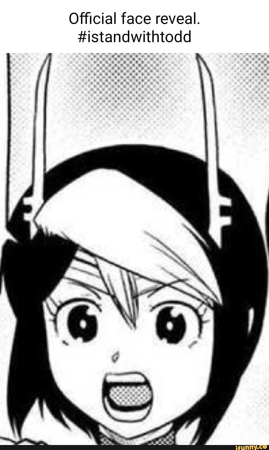 Official face reveal. stand - iFunny