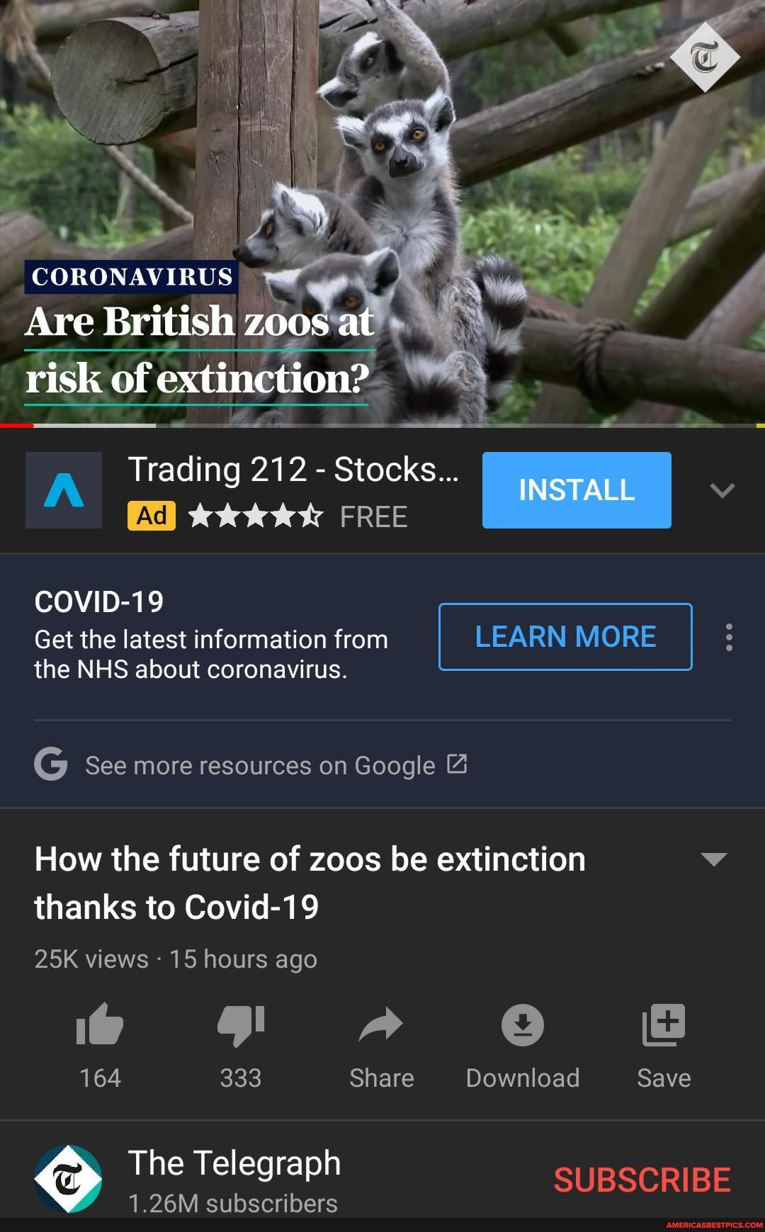 risk of extinction?
A Trading 212 - Stocks... INSTALL kk FREE
COVID-19
Get the latest information from LEARN MORE
the NHS about coronavirus.
G See more resources on Google
How the future of zoos be extinction v thanks to Covid-19
views 15 hours ago
FF OO
164 333 Share Download Save
The Telegraph SUBSCRIBE
1.26M subscribers