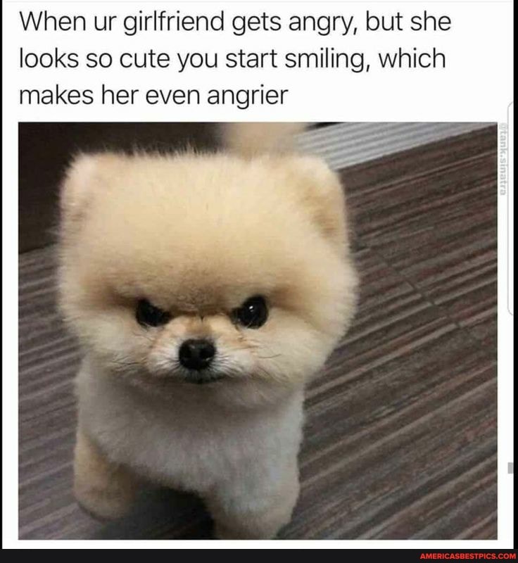 When ur girlfriend gets angry, but she looks so cute you start smiling, which makes her even angrier