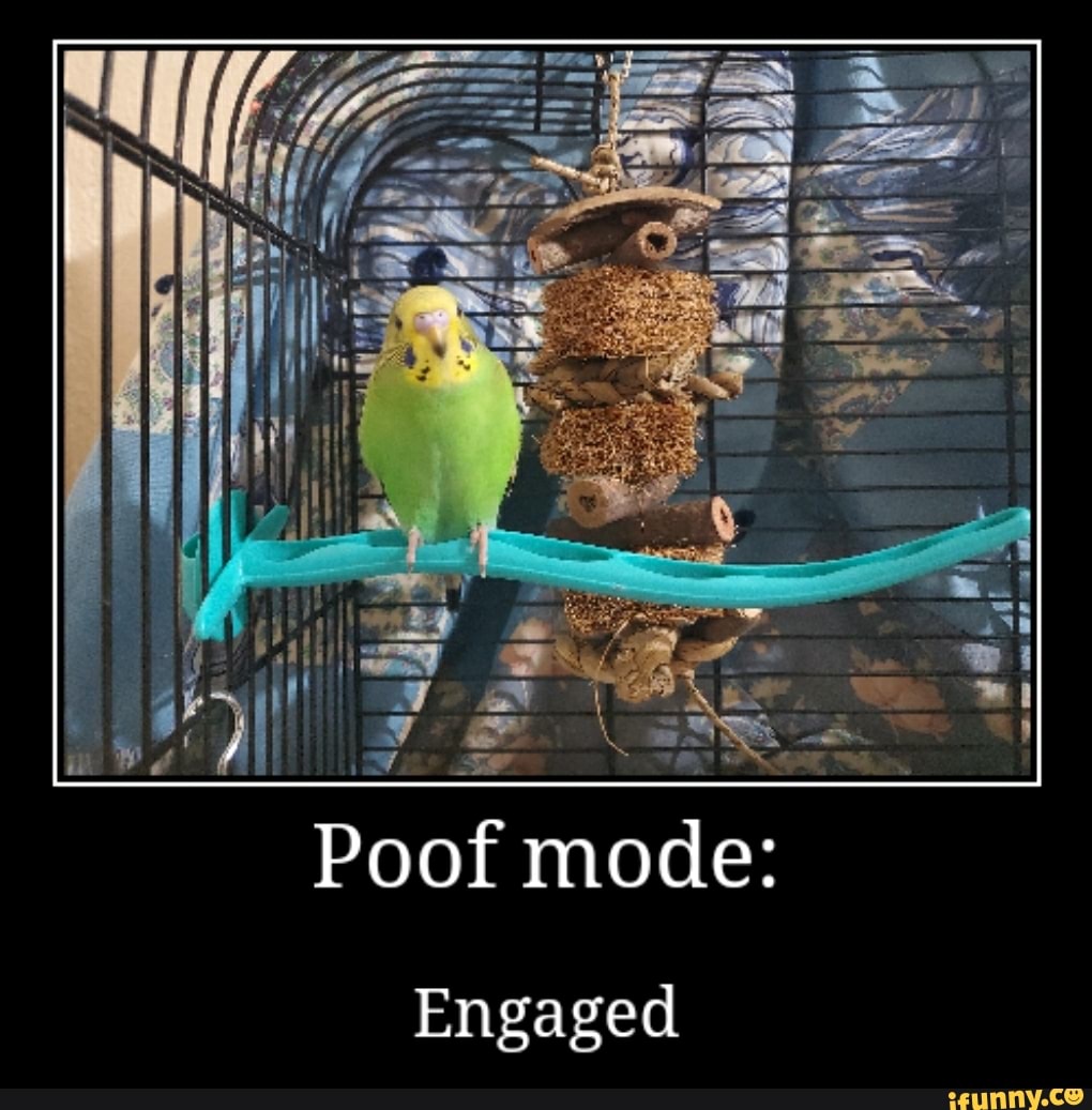 Poof mode
Engaged