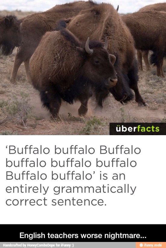 "Buffalo buffalo Buffalo
buffalo buffalo buffalo
Buffalo buffalo' is an
entirely grammatically
correct sentence.
English teachers worse nightmare... - English teachers worse nightmare...