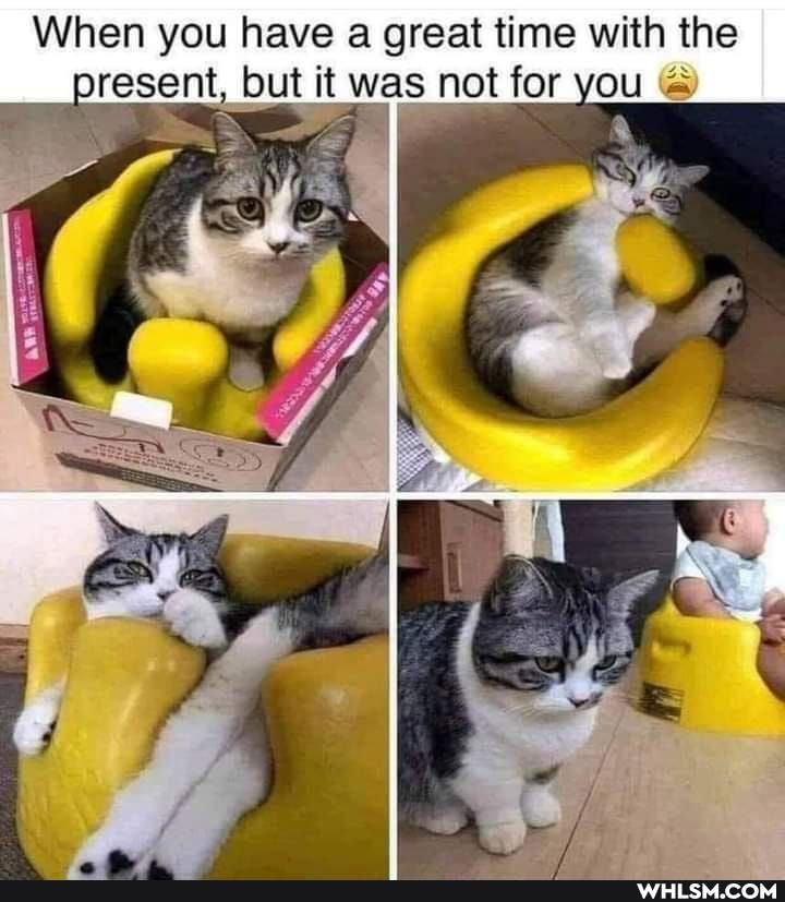 When you have a great time with the present, but it was not for you