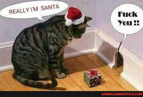 SANTA Fuck
You
REALLY I'M