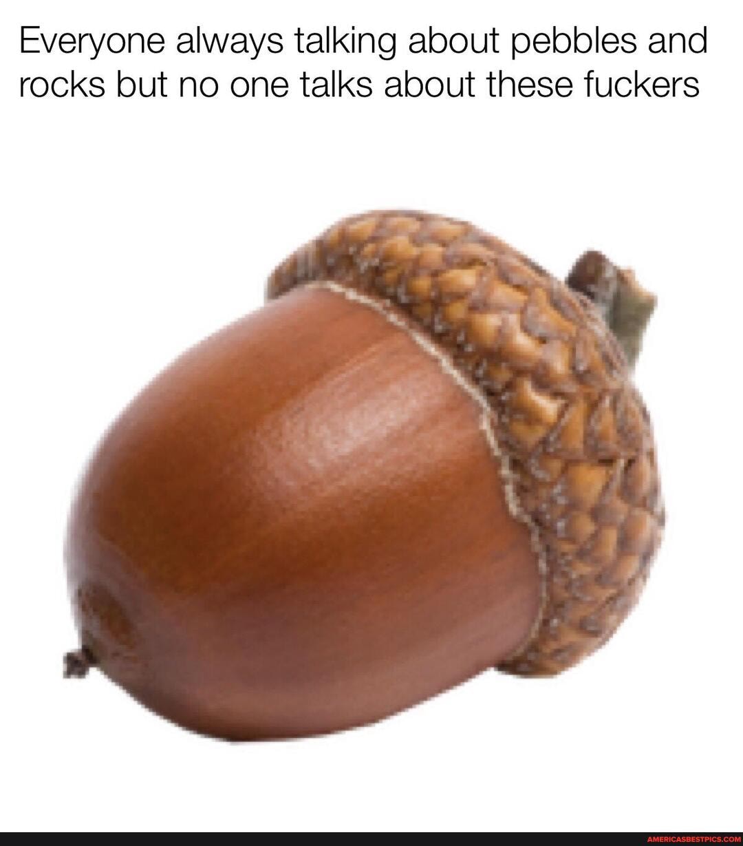 Everyone always talking about pebbles and rocks but no one talks about these fuckers