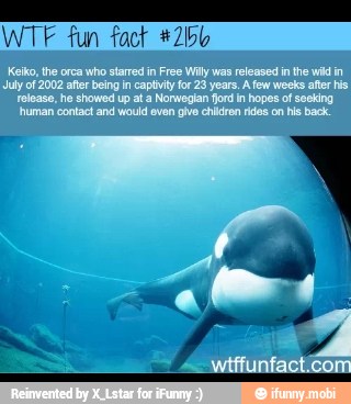 WTF fun fact *2bb