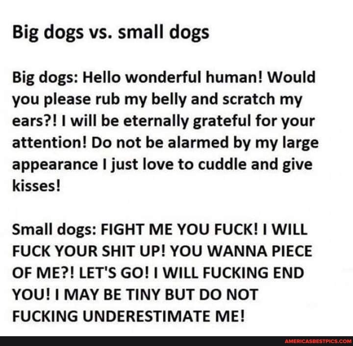 Big dogs vs. small dogs
Big dogs: Hello wonderful human! Would you please rub my belly and scratch my ears?! I will be eternally grateful for your attention! Do not be alarmed by my large appearance I just love to cuddle and give kisses!
Small dogs: FIGHT ME YOU FUCK! WILL FUCK YOUR SHIT UP! YOU WANNA PIECE OF ME?! LET'S GO! WILL FUCKING END YOU! I MAY BE TINY BUT DO NOT FUCKING UNDERESTIMATE ME!