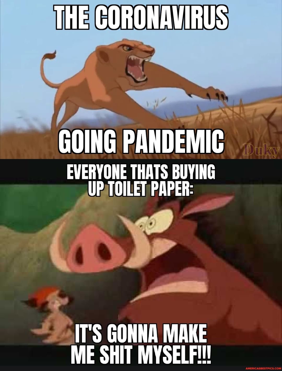THE CORONAVIRUS
GOING PANDEMIC
EVERYONE THATS BUYING UP TOILET PAPER:
IT'S GONNA MAKE ME SHIT MYSELF!