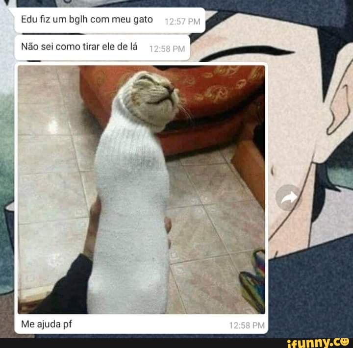 Edu fiz um bglh com meu gato
Não sei como tirar ele de lá
Me ajuda pf