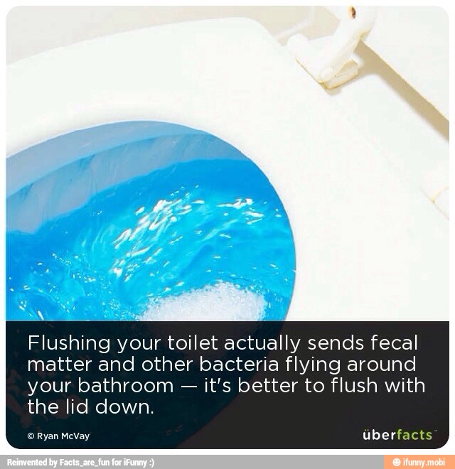 AN a Flushing your toilet actually sends fecal matter and other