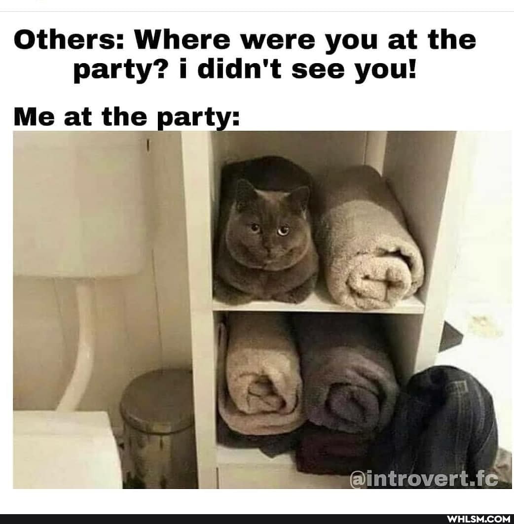 Others: Where were you at the party? i didn't see you!
Me at the party: