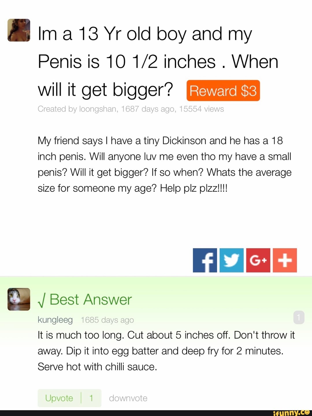 Penis 18