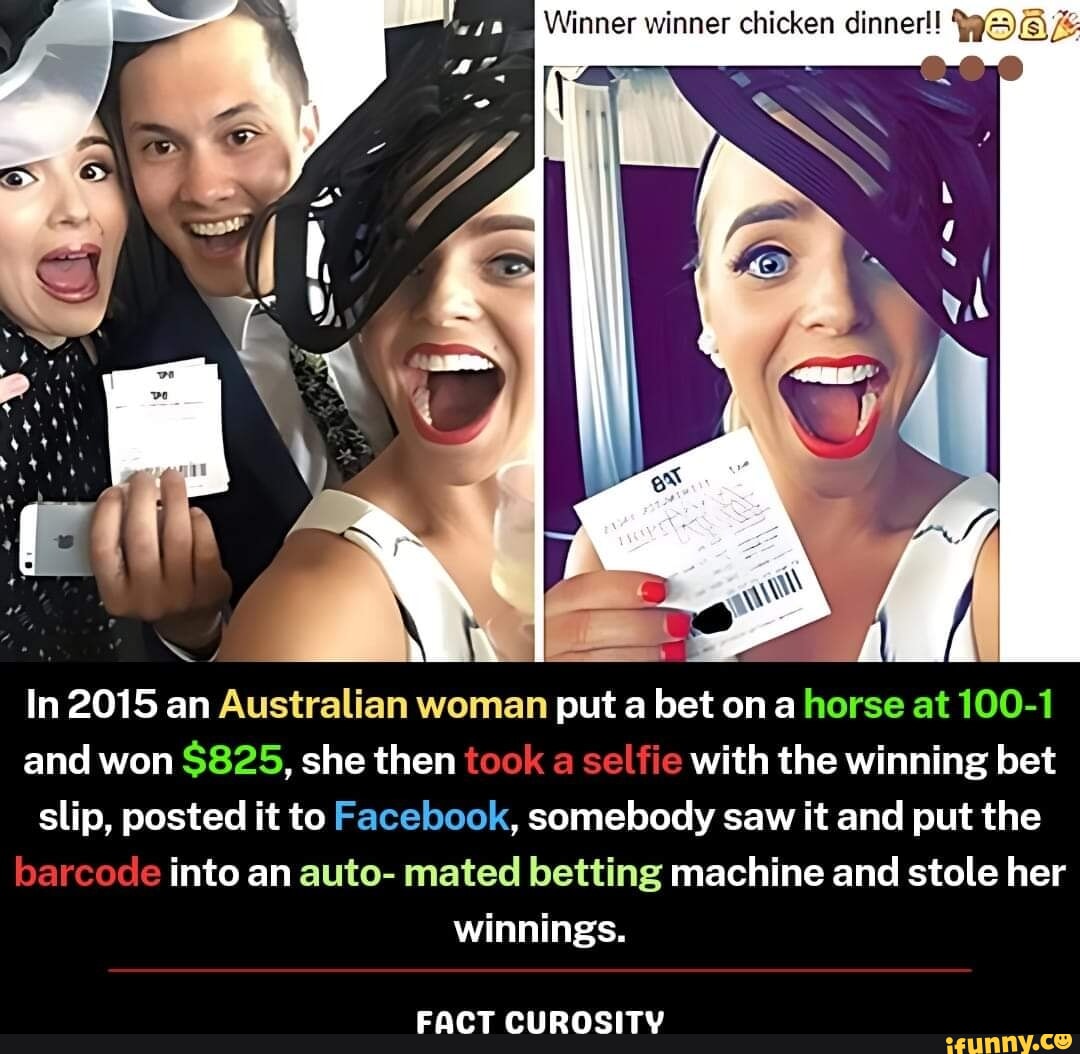 This leather is made from cactus leaves. It is made without using