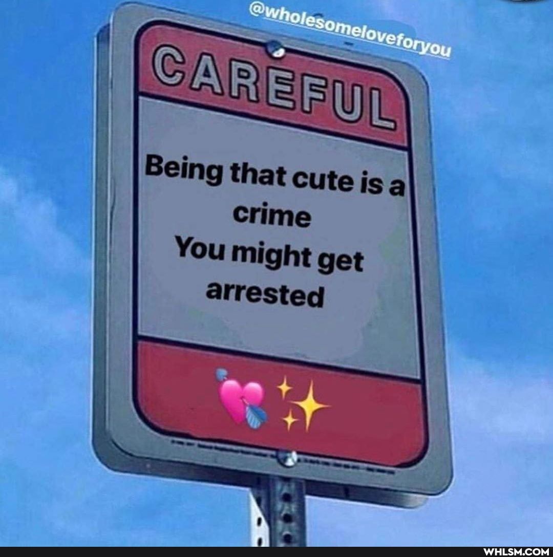 Being that Cute is a\ crime
You might get
arrested