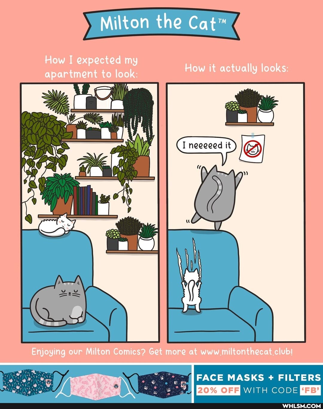 Milton the
How I expected my apartment to look:
How it actually looks:
Enjoying our Milton Comics? Get more at www .miltonthecat.clubl
FACE MASKS + FILTERS
OFF WITH CODE