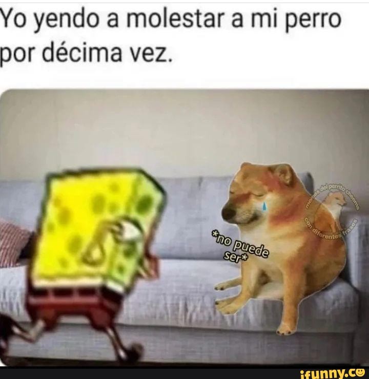 Desmadre memes. Best Collection of funny Desmadre pictures on iFunny Brazil