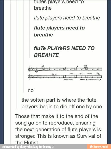 tutes players need to
breathe
flute players need to breathe
flute players need to
[sela
fluTe PLAYeRS NEED TO
BREAHTE
the soften part is where the flute
players begin to die off one by one
Those that make it to the end of the
song go on to reproduce, ensuring
the next generation of flute players is
stronger. This is known as Survival of
the Flutist.