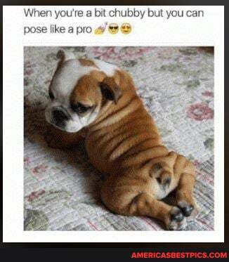 When you're a bit chubby but you can pose like a pro