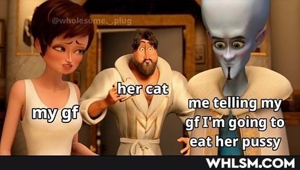 her cat me telling my
gf I'm going to
my: gf