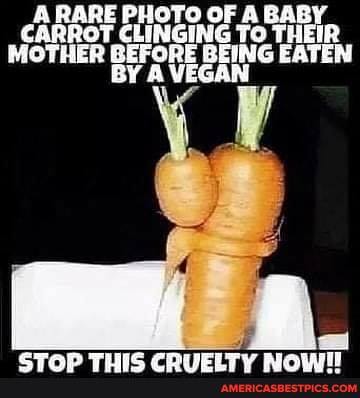 A RARE PHOTO OF A BAGY CARROT CLINGING To THEIR MOTHER BEFORE BEING EATEN BY A VEGAN
