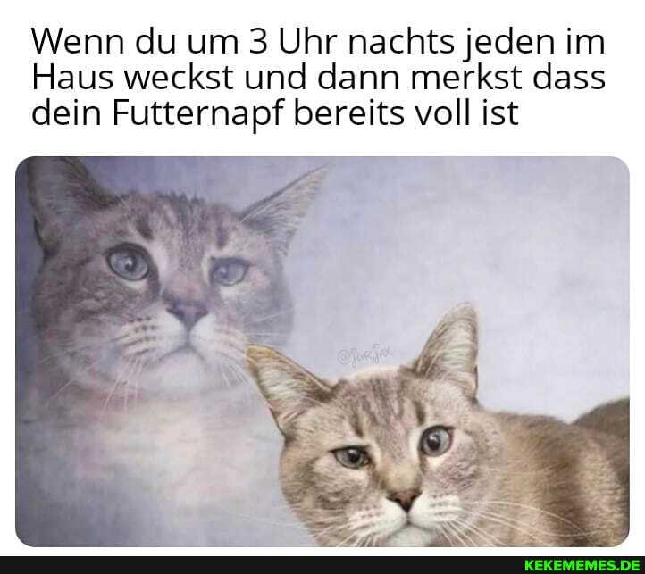 Wenn du um 3 Uhr nachts jeden im
Haus weckst und dann merkst dass dein Futternapf bereits voll ist