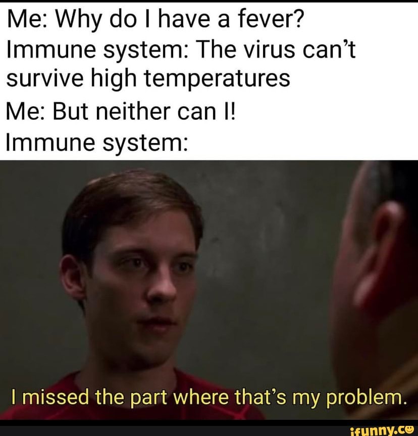 me-why-do-i-have-a-fever-immune-system-the-virus-can-t-survive-high