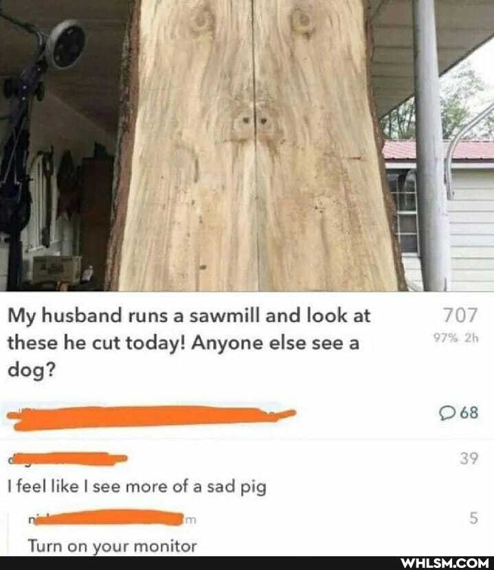 My husband runs a sawmill and look at these he cut today! Anyone else see a dog?
39
I feel like I see more of a sad pig
