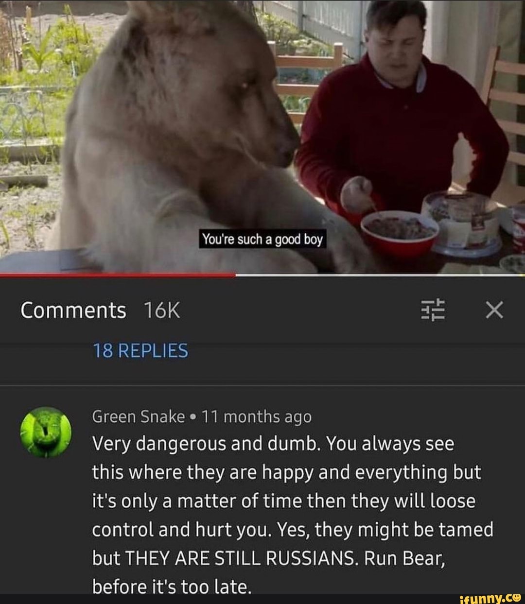 Comments
You're such a goad boy
18 REPLIES
Green Snake 11 months ago
Very dangerous and dumb. You always see
this where they are happy and everything but it's only a matter of time then they will loose control and hurt you. Yes, they might be tamed but THEY ARE STILL RUSSIANS. Run Bear, before it's too late.