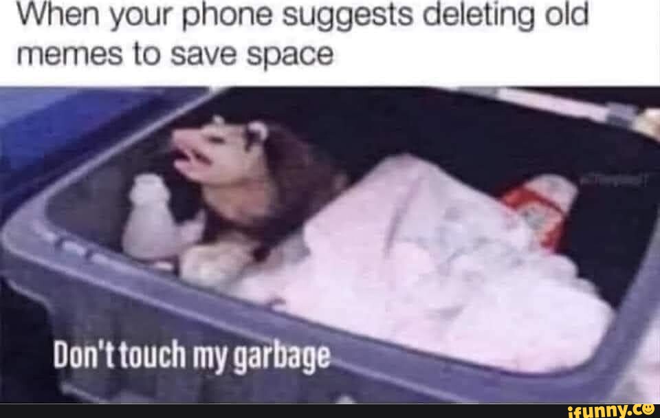 When your phone suggests deleting old memes to save space Don't touch