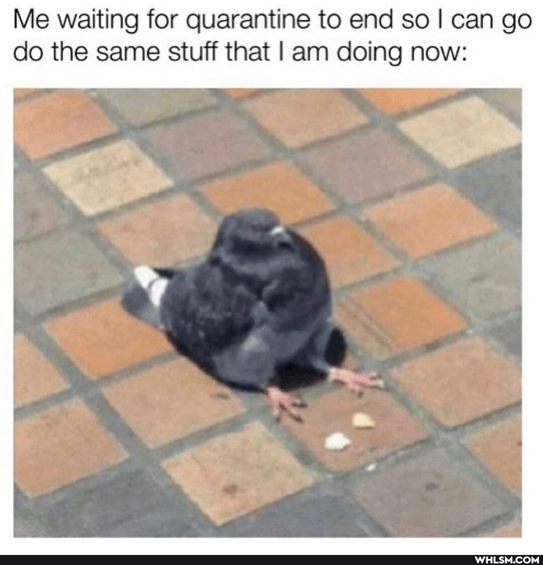 Me waiting for quarantine to end so I can go do the same stuff that I am doing now: