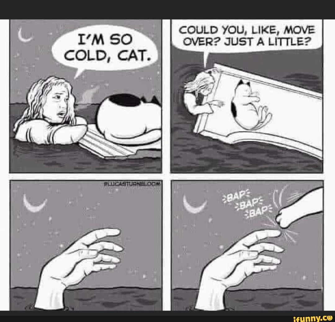 COULD YOU, LIKE, MOVE I'M SO OVER? JUST A LITTLE?
COLD, CAT.