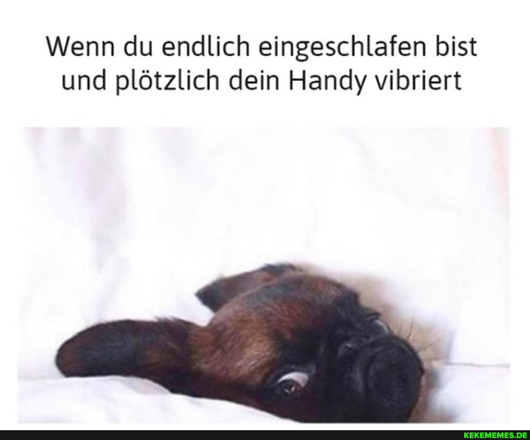 Wenn du endlich eingeschlafen bist und plötzlich dein Handy vibriert