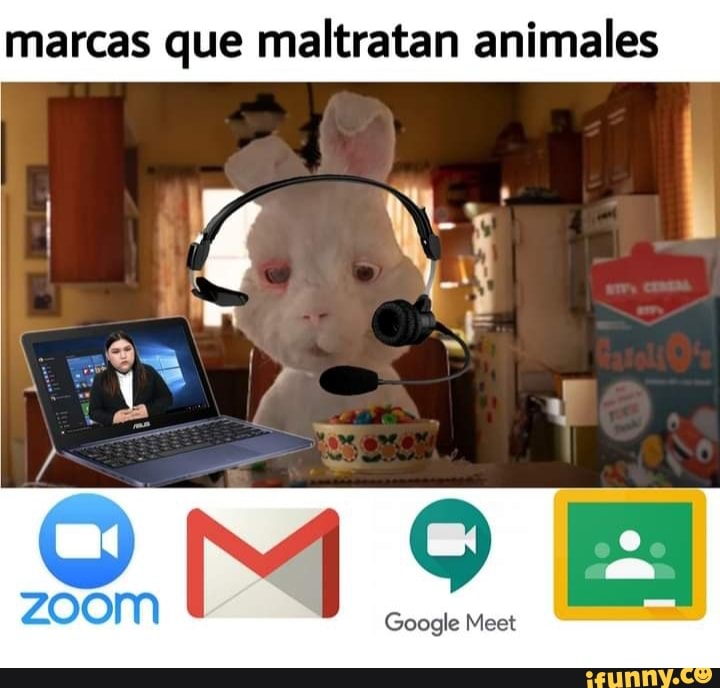 marcas que maltratan animales
Google Meet