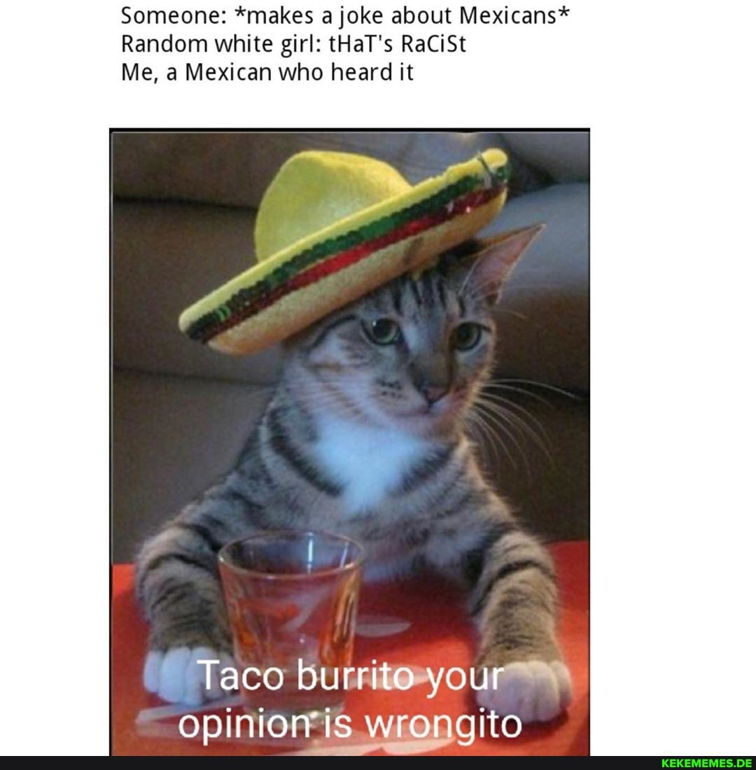 Someone: "makes a joke about Mexicans*
Random white girl: tHaT's RaCiSt
Me, a Mexican who heard it
Taco burrito your opinion is wronaito