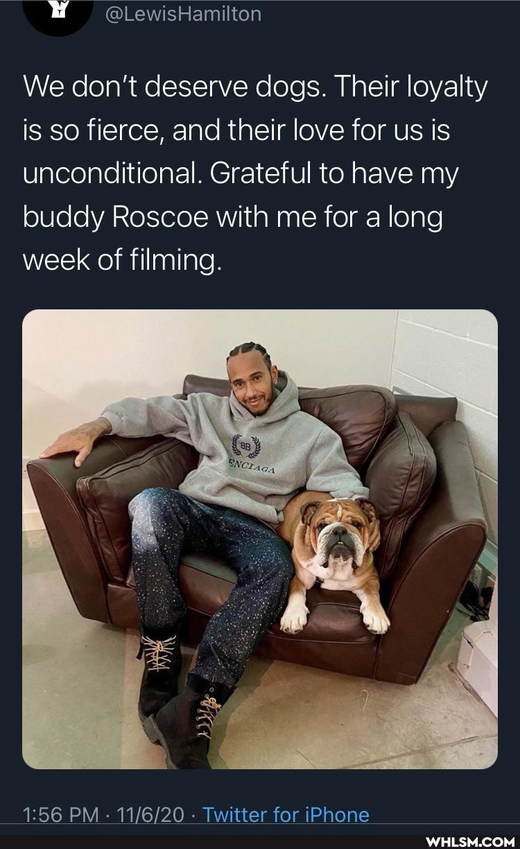 We don't deserve dogs. Their loyalty is so fierce, and their love for us is unconditional. Grateful to have my buddy Roscoe with me for along week of filming.
PM - - Twitter for iPhone